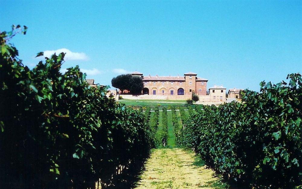 Agriturismo Terra Rossa 발리아노 외부 사진