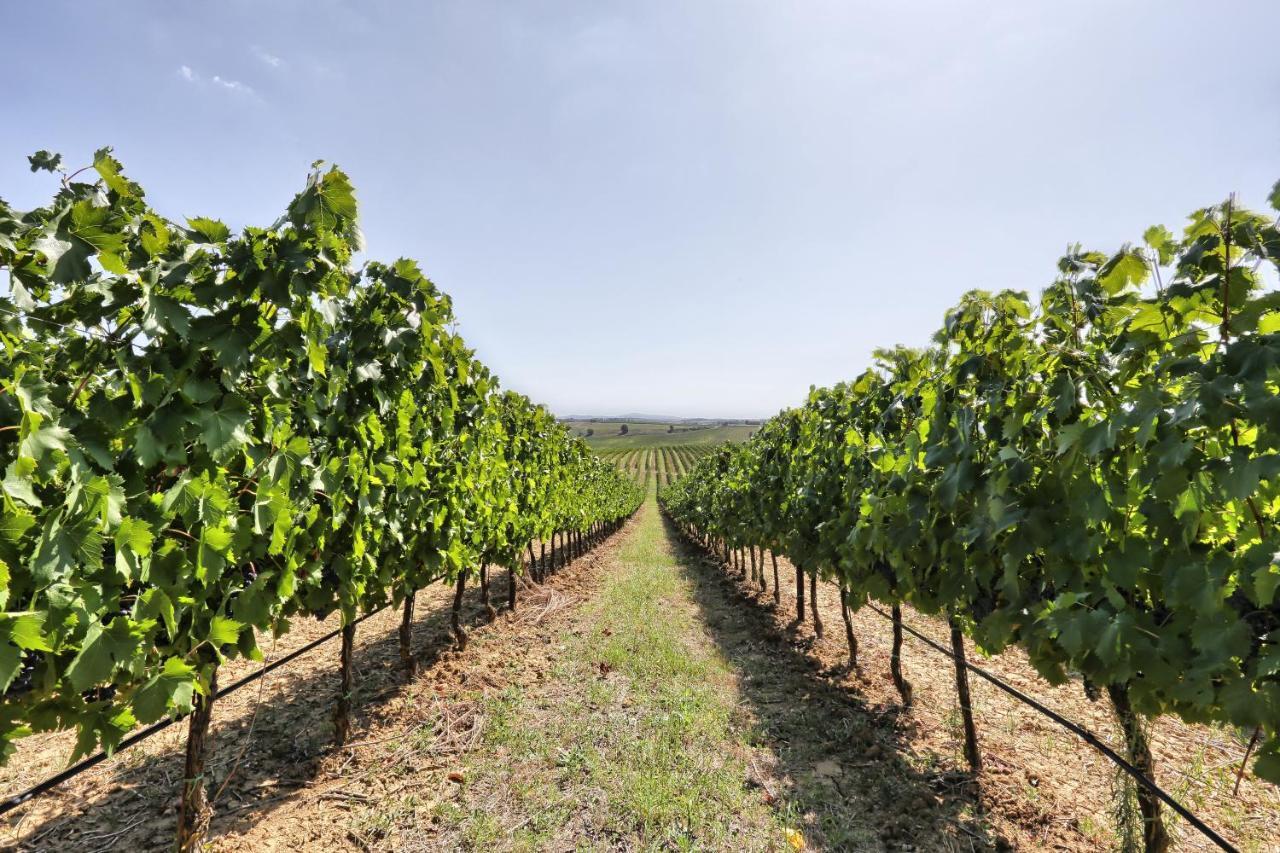 Agriturismo Terra Rossa 발리아노 외부 사진