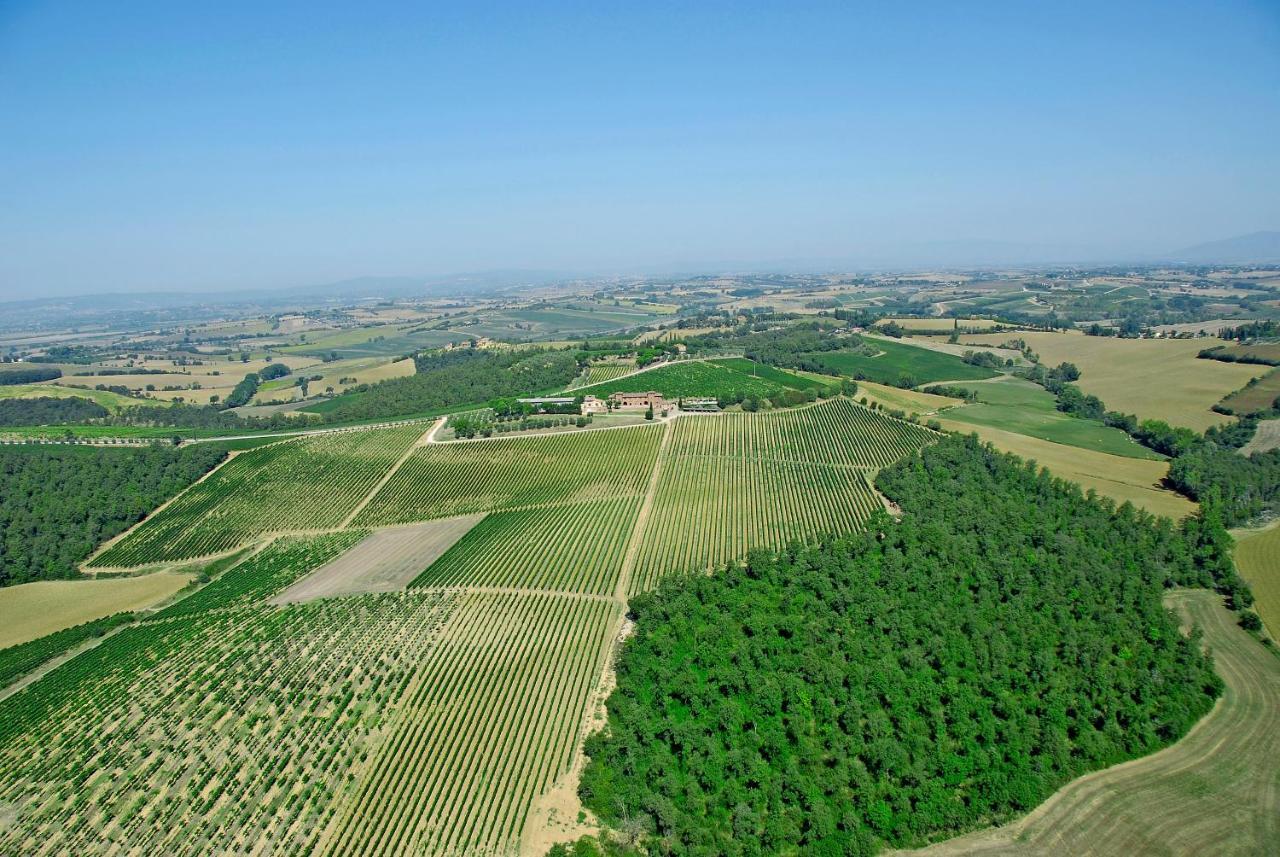 Agriturismo Terra Rossa 발리아노 외부 사진