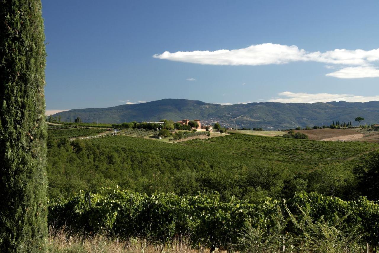 Agriturismo Terra Rossa 발리아노 외부 사진